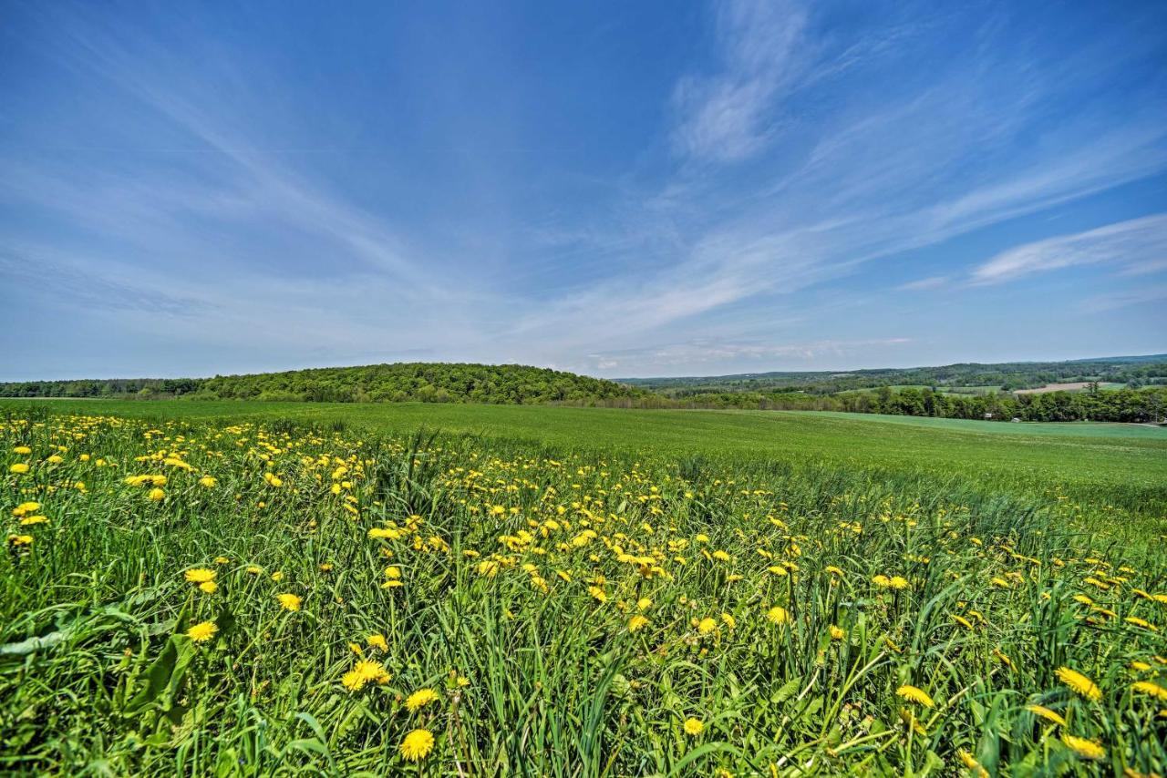 Country Escape With Sauna, 10 Mi To Cooperstown リッチフィールド・スプリングス エクステリア 写真